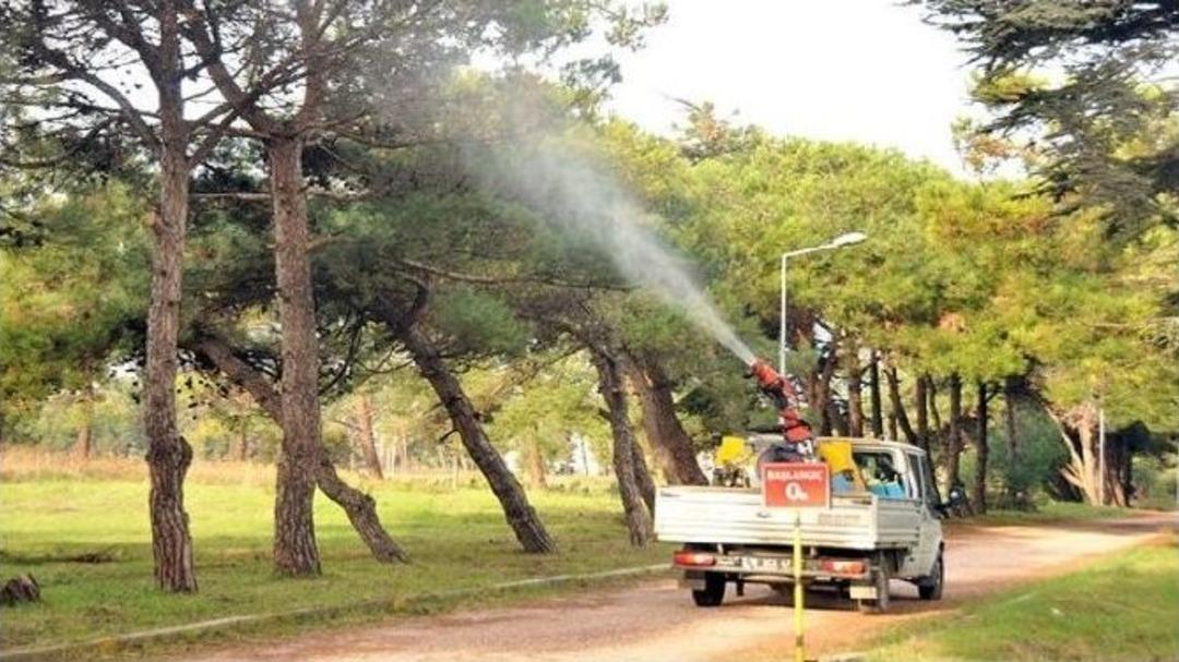 General Balcı &Ccedil;amlığında Budama Ve İla&ccedil;lama &Ccedil;alışmaları Başladı