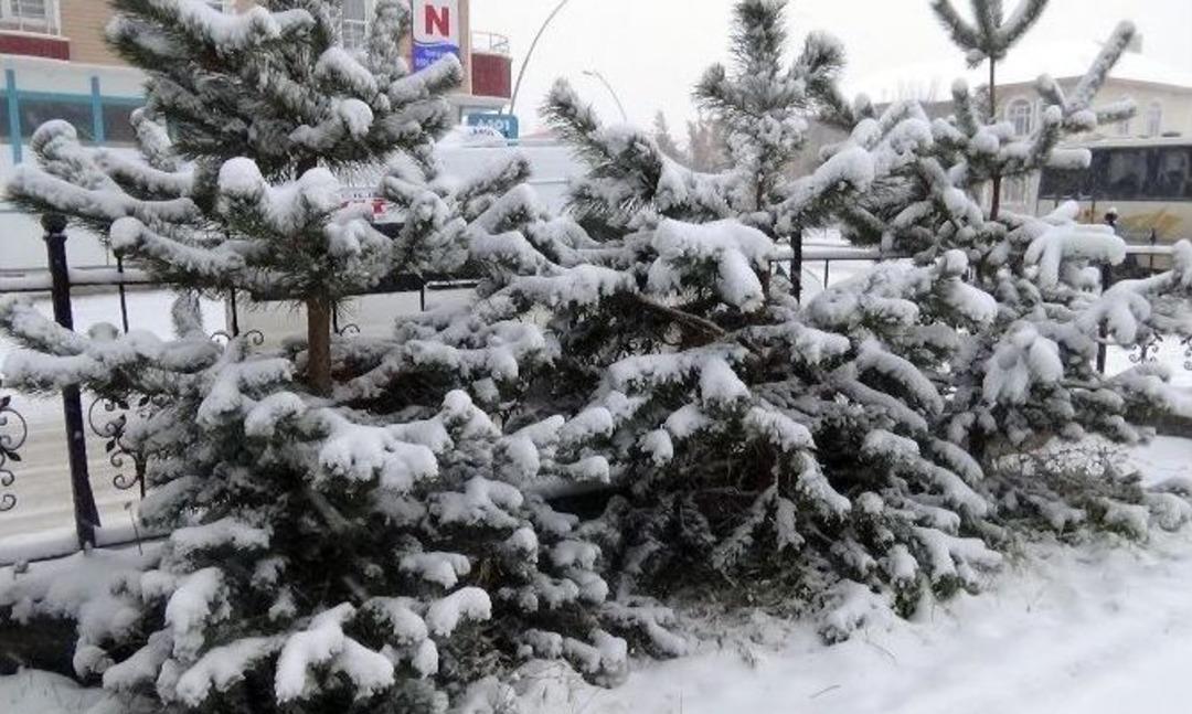 Ağrı&rsquo;da Kar Yağışı