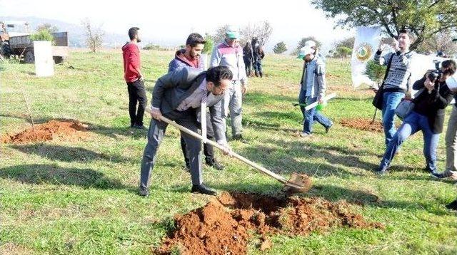 Adü Doğa Topluluğu Üniversitemizde 1500 Fidanı Toprakla Buluşturdu