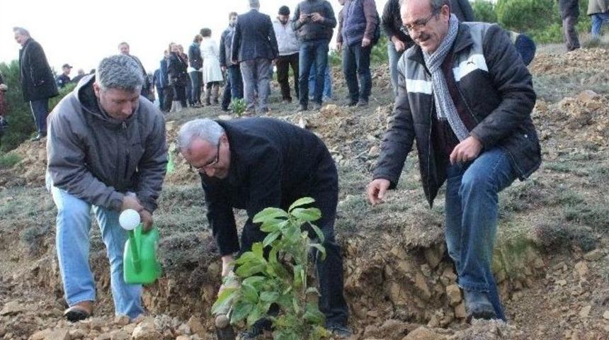 Tekirdağ&rsquo;a Şifa Ormanı