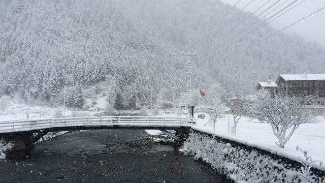 Uzungöl Beyaza Büründü