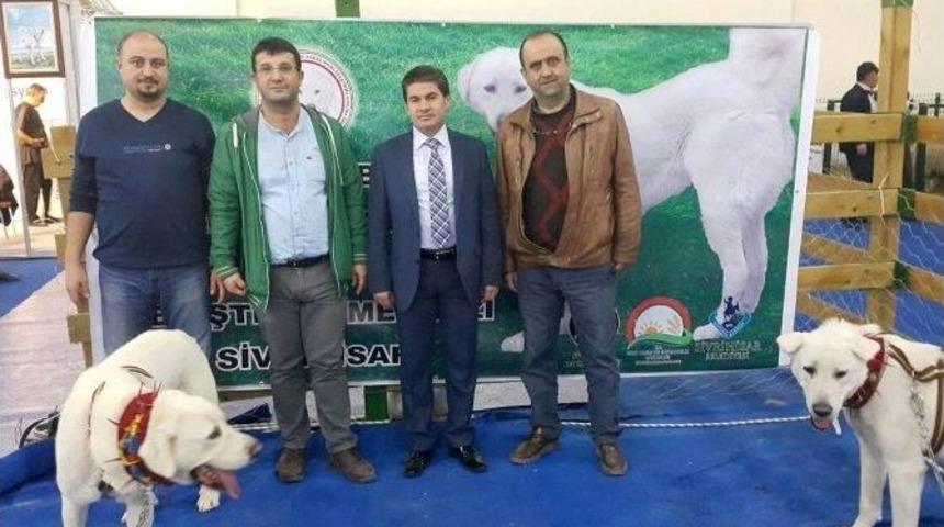 Tepebaşı Yetiştiricileri Antalya&rsquo;da