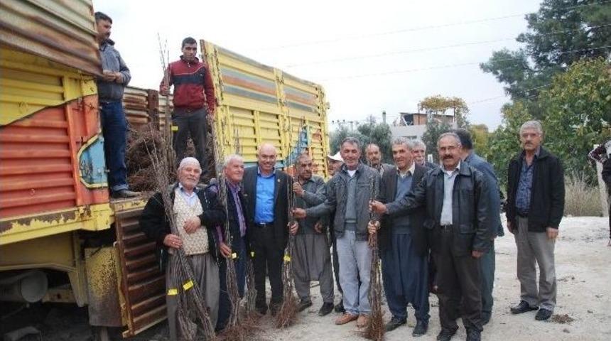 B&uuml;y&uuml;kşehir&rsquo;den 7 İl&ccedil;eye Fidan Dağıtımı