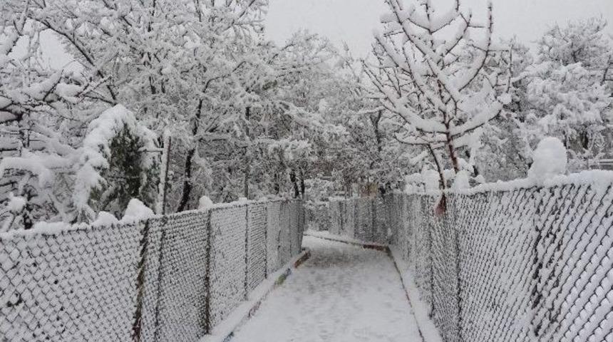 Şırnak’ta Kar Tatili