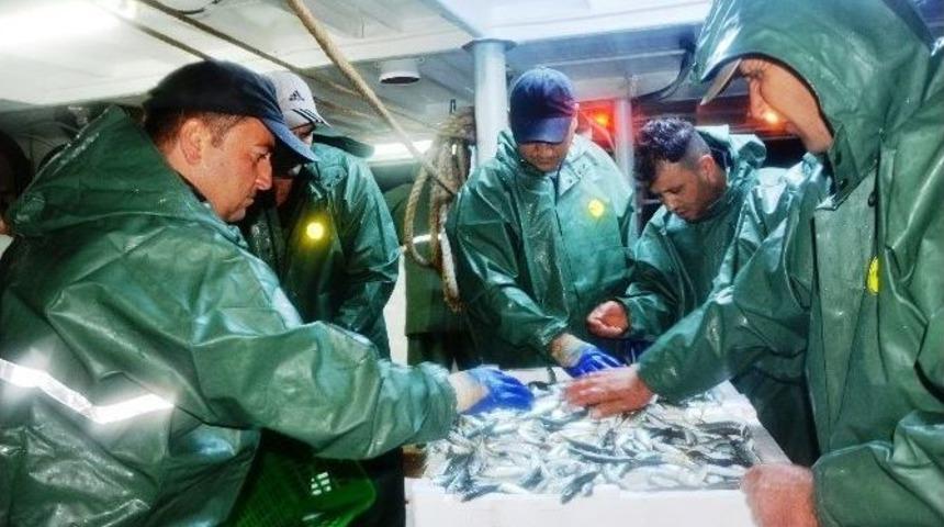 Hamside Son 10 Yılın En Bereketli Sezonu