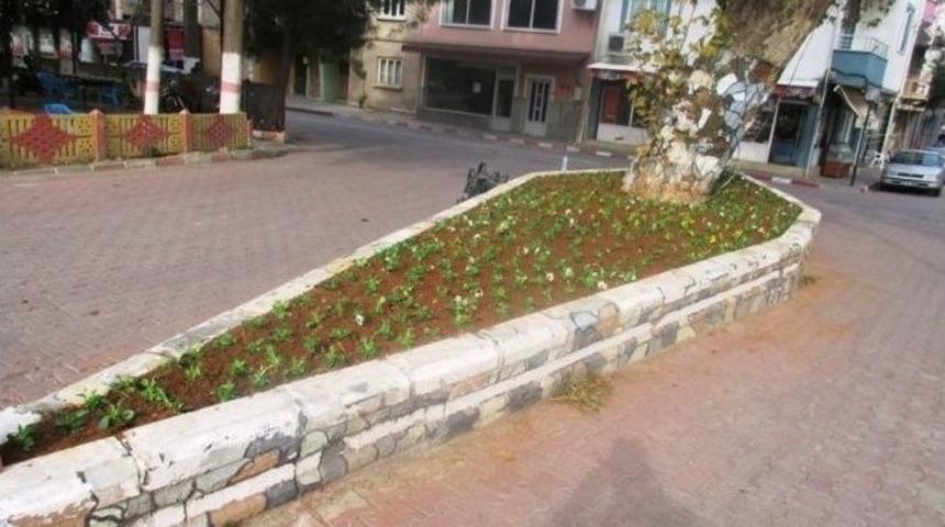 Ahmetli&rsquo;de Menekşe Devri