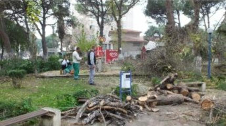 Burhaniye Şehit Turhan Bayraktar Parkında Bakım Zamanı