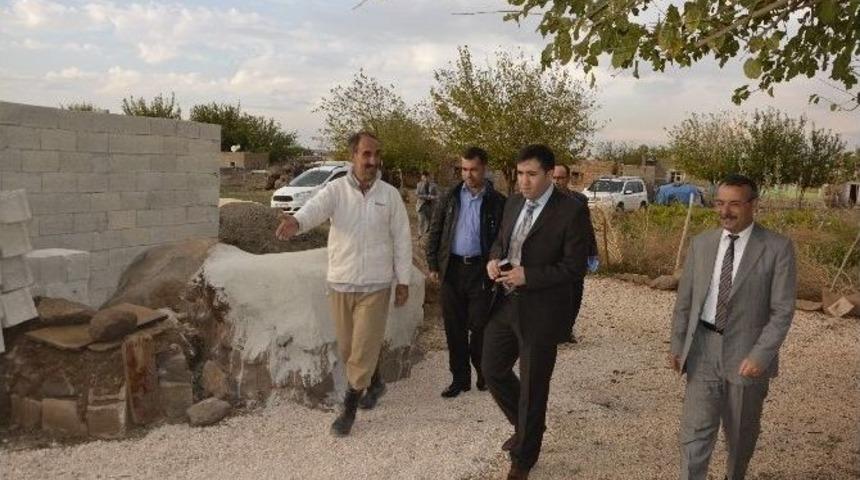 Devlet Desteği İle Tavuk Yetiştiriciliğine Başladı