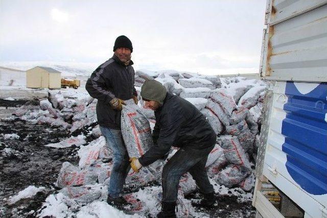 Varto’da Kömür Dağıtımı