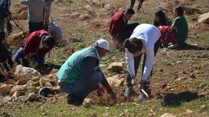 B&uuml;y&uuml;kşehir, Her &Ouml;ğrenci Adına Birer Ağa&ccedil; Dikiyor