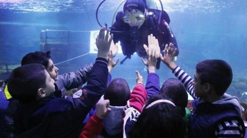 İşitme Engelliler Sualtı D&uuml;nyası&rsquo;nda