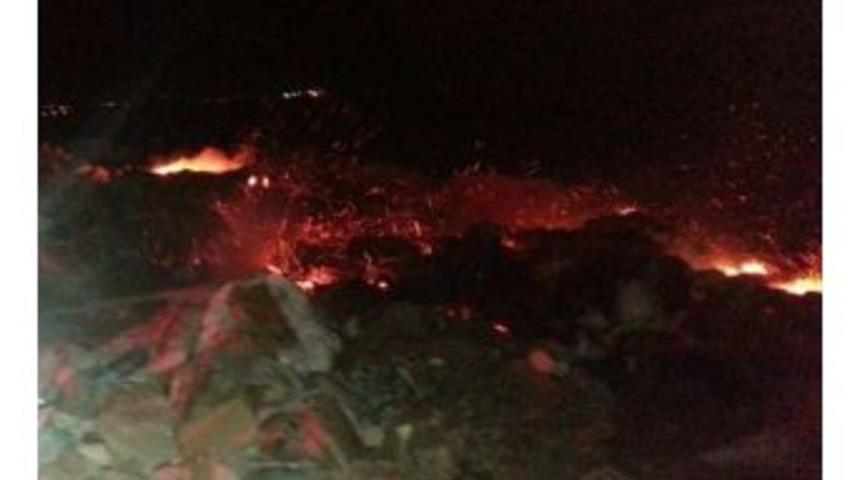 Osb Karşısındaki Boş Alanda Yangın &Ccedil;ıktı