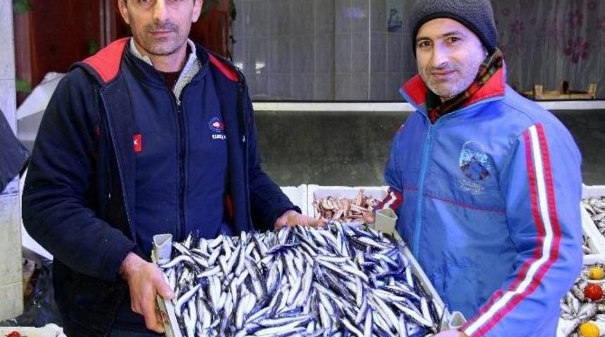 Samsun&rsquo;da Hamsi 8 Lira
