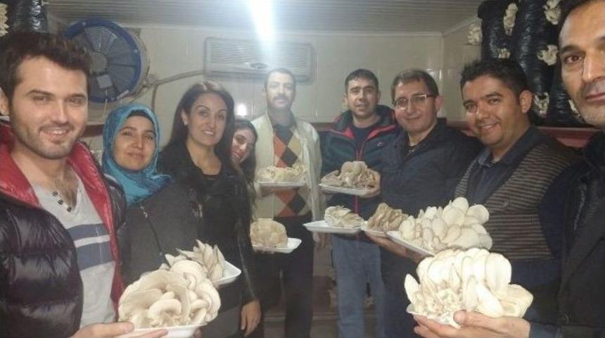 Tarsus Belediyesi&rsquo;nden İstiridye Mantarı Yetiştiriciliği Kursu