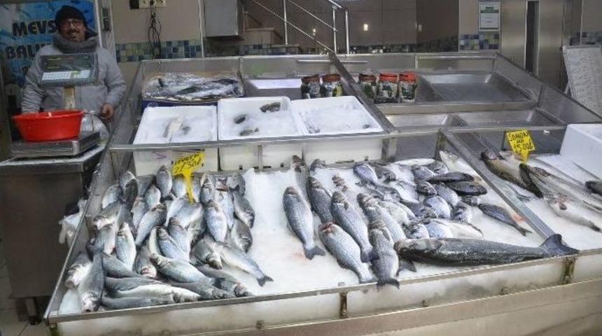 K&ouml;t&uuml; Havalar Balık&ccedil;ıları Etkiledi