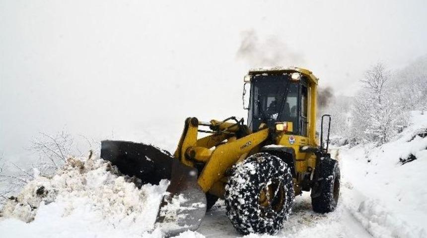 Trabzon’da Karla Mücadele Çalışmaları Yoğun Şekilde Devam Ediyor
