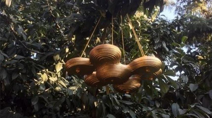 Modernize Kuş Evleri Tasarlandı