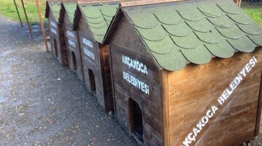 Ak&ccedil;akoca&rsquo;da Hayvanlar Daha Sağlıklı Ortamlarda