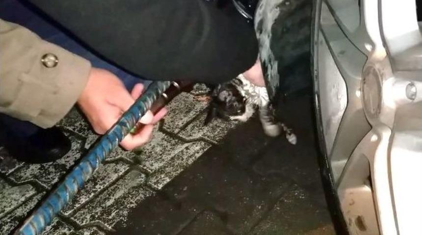 (&ouml;zel Haber) Kediyi Kurtarmak İ&ccedil;in Son Model Aracını S&ouml;kt&uuml;rd&uuml;