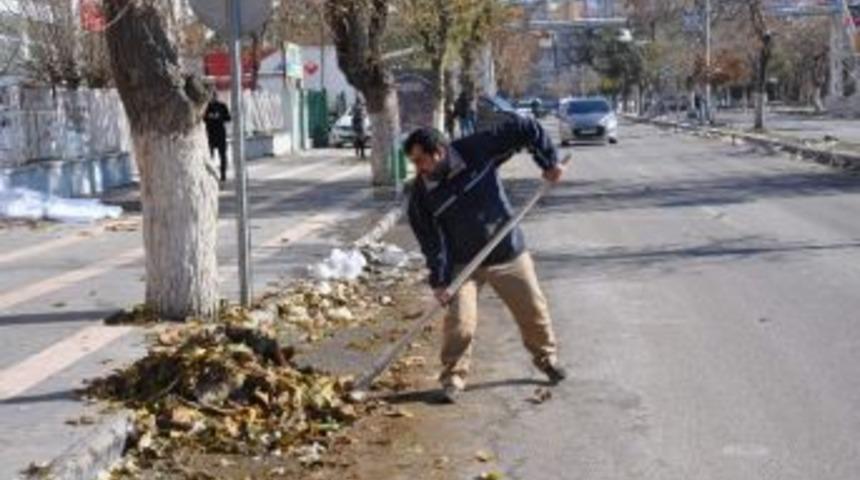 Siirt&rsquo;te Yaprak Temizliği
