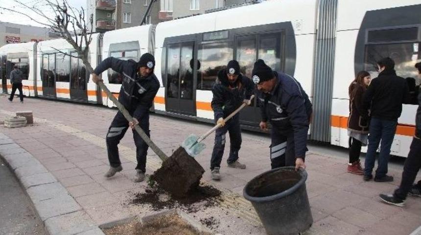 İsmet İn&ouml;n&uuml; Caddesi Ağa&ccedil;landırılıyor