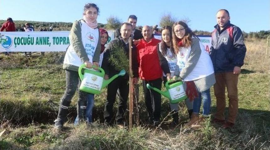 G&ouml;n&uuml;ll&uuml; Gen&ccedil;lerden 200 Fidan