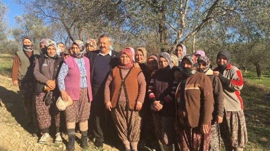 Başkan Necdet Uysal&rsquo;dan Zeytin İş&ccedil;ilerine Ziyaret