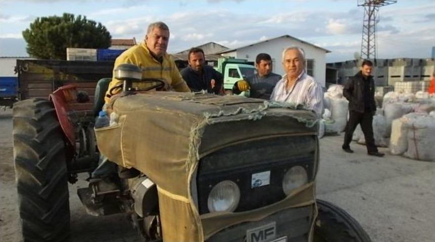 Fabrikaların Bah&ccedil;eleri Zeytinle Doldu Taştı