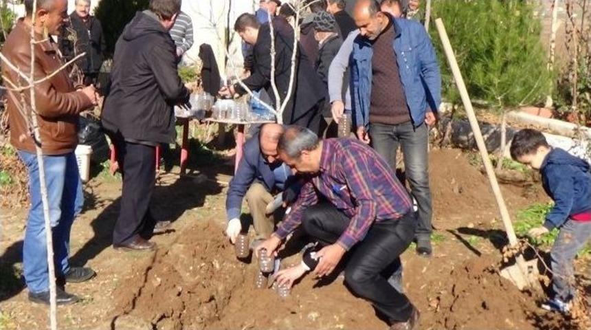 Batman&rsquo;da &Ccedil;evreciler Palamut Fideleri Dikti