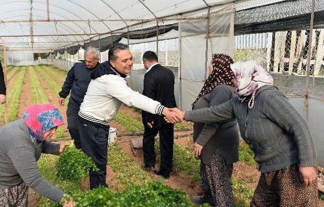 Önce Spor Yapıyor Sonra Serada Çalışıyorlar