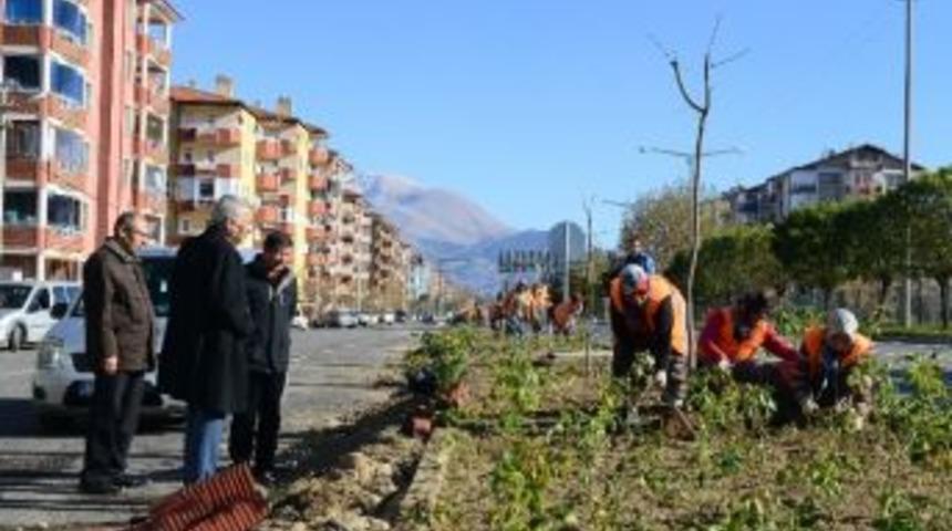 Isparta&rsquo;ya Bir Milyon G&uuml;l