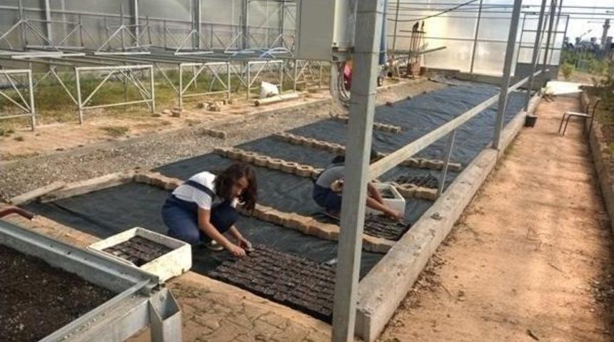 Lise &Ouml;ğrencileri Yılda 100 Bin Mevsimlik &Ccedil;i&ccedil;ek, 10 Bin G&uuml;l Yetiştirecek