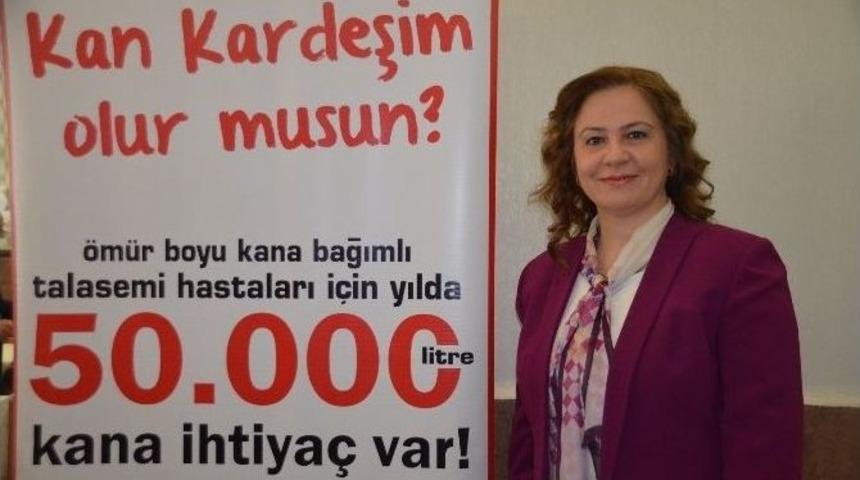 "k&ouml;k H&uuml;cre Kardeşliği"