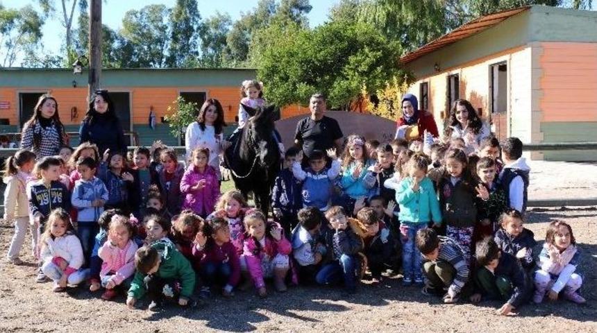 Miniklerin At Binme Keyfi