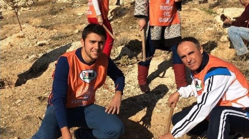 Fidan Dikim Kampanyasına Tem&rsquo;dan Destek