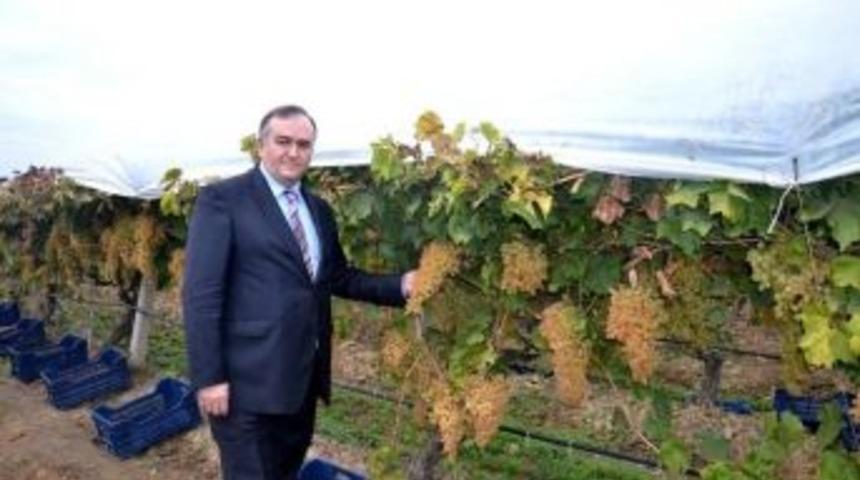 Mhp&rsquo;li Ak&ccedil;ay &Uuml;z&uuml;mc&uuml;n&uuml;n Sesi Oldu