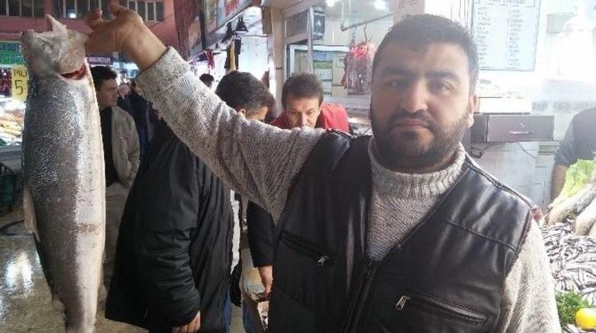 Malatya Balık Pazarında, Sezon Bereketli Ge&ccedil;iyor