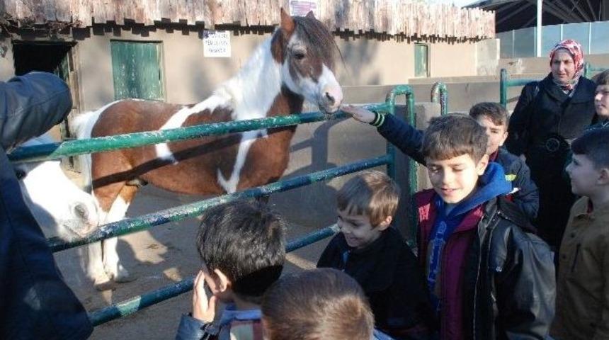 &Ouml;ğrenciler Darıca Hayvanat Bah&ccedil;esini Gezdi