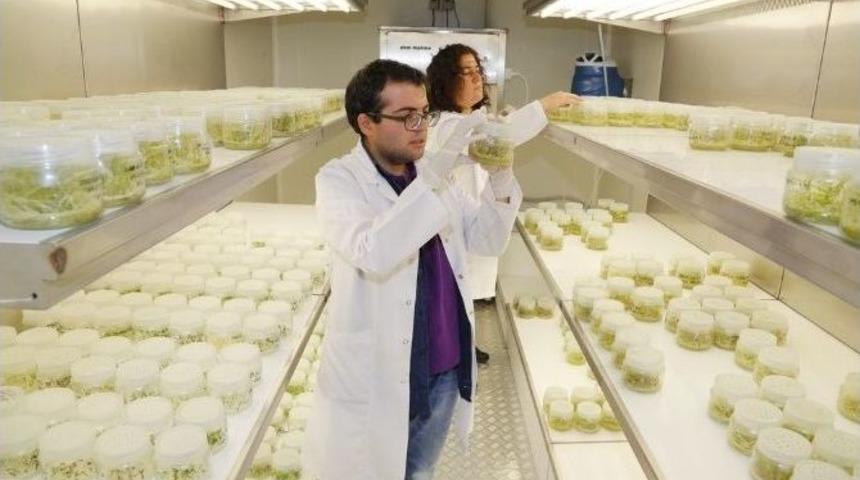 Niğde &Uuml;niversitesinden B&uuml;y&uuml;k Ar-ge Atılımı