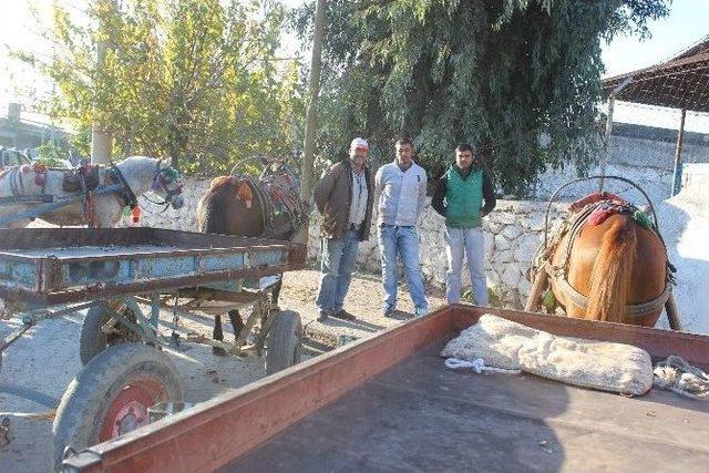 At Arabacılığı Da Teknolojiye Yenik Düştü