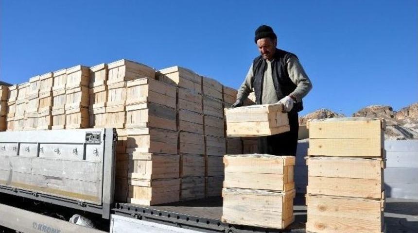 Rusya&rsquo;nın T&uuml;rkiye&rsquo;den Başka Bir &Uuml;lkeden Limon Alma Şansı Yok