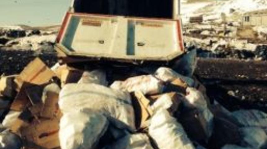 Edremit&rsquo;te 7 Ton Dondurma İmha Edildi