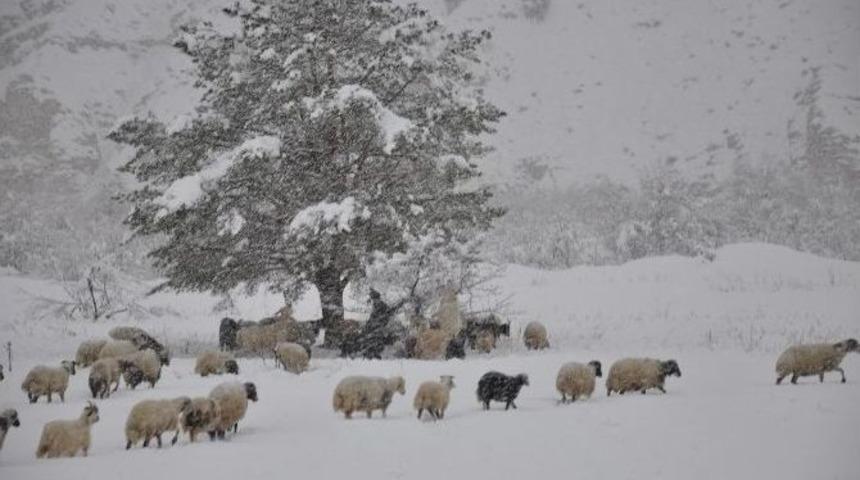 Beklenen Kar Yağmayınca &Ccedil;ift&ccedil;iler Zor G&uuml;nler Yaşıyor