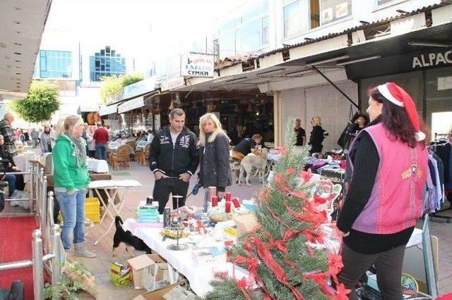 Almanlar’dan Sokak Hayvanları İçin Kermes