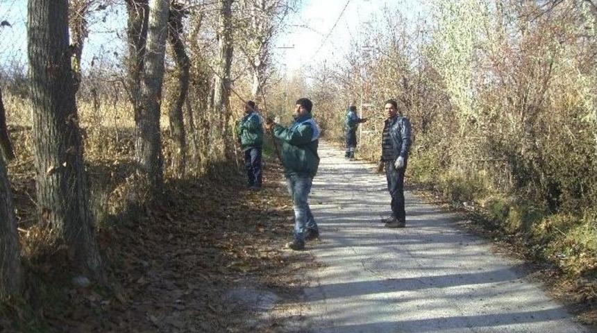 Yeşilyurt Belediyesi, Ağa&ccedil;ları Buduyor