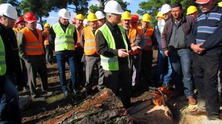Ormanda &Uuml;retim Tatbikatı