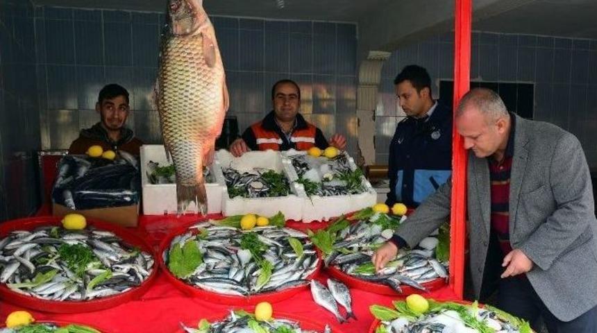 Ceylanpınar&rsquo;da Balık&ccedil;ılara Denetim