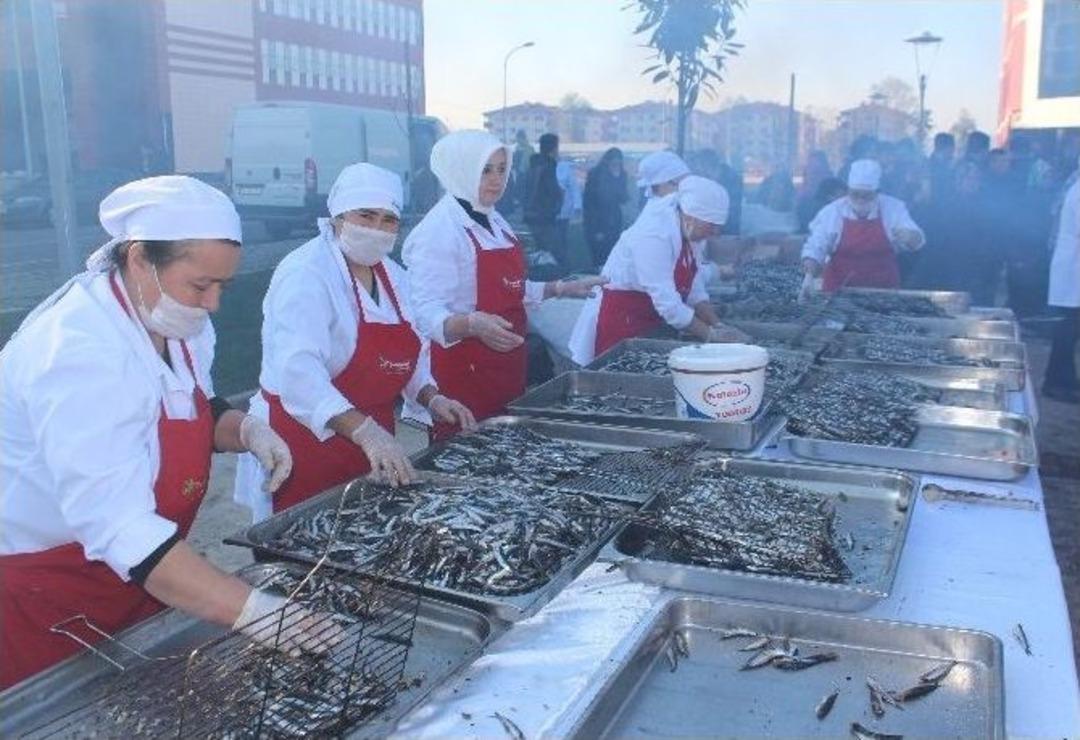 Od&uuml;&rsquo;de Hamsi Ş&ouml;leni