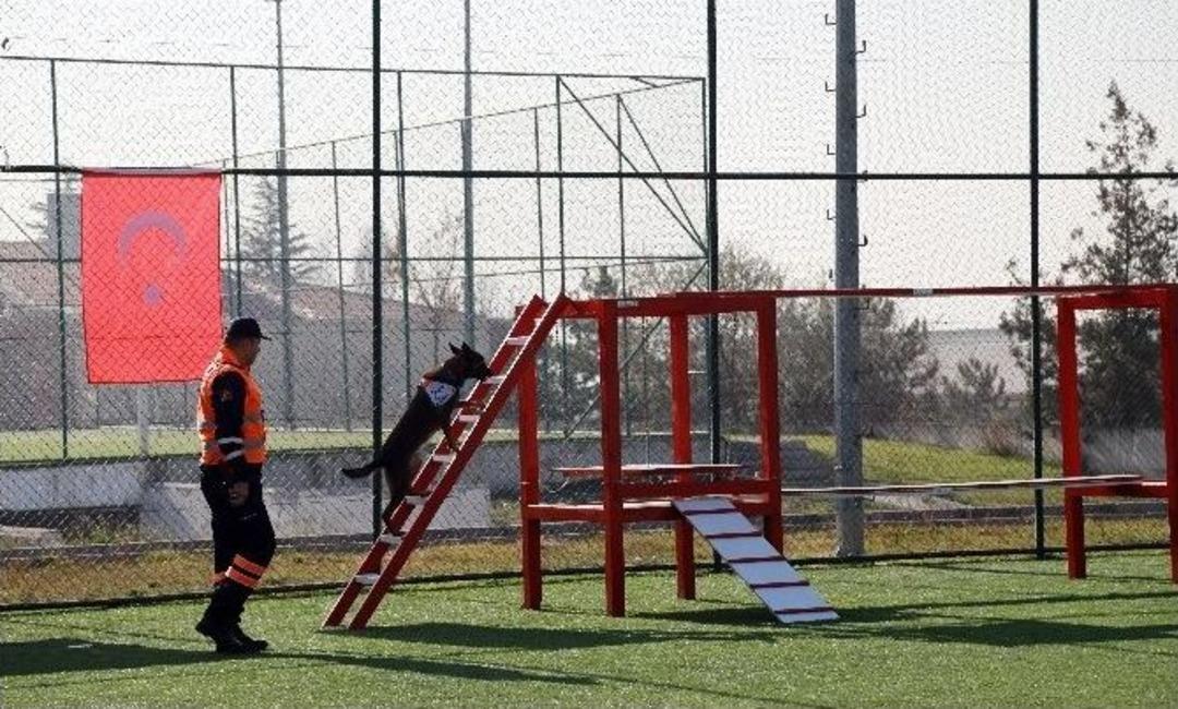 Arama K&ouml;peklerinin G&ouml;sterileri Nefes Kesti