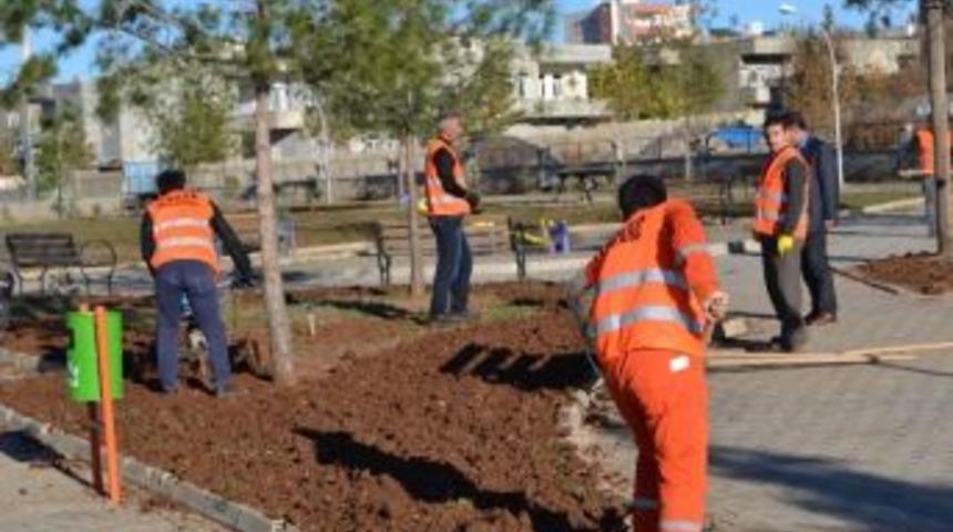 Kahta&rsquo;da Parklarda &Ccedil;imleme &Ccedil;alışması
